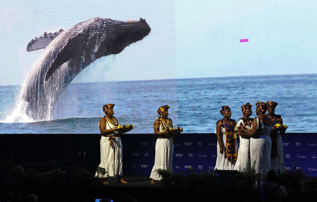 Artistas se presentan en la inauguración de la COP16 de Biodiversidad este domingo, en Cali (Colombia). Fuente: EFE/ Mauricio Dueñas Castañeda.